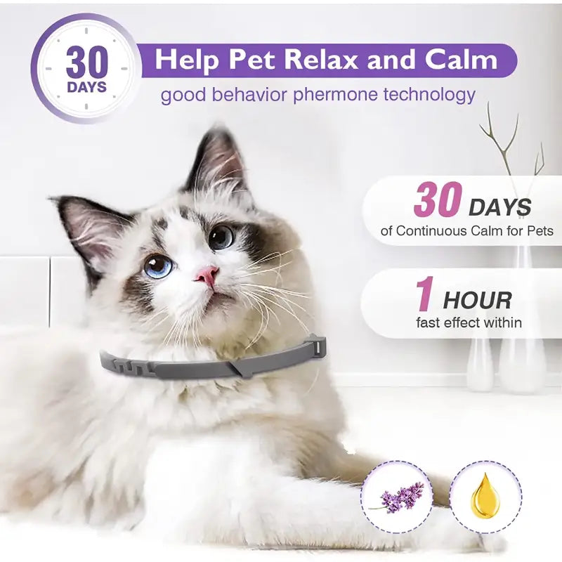 Adjustable Cat Calming Collar with Lavender and Chamomile Oils-Calming Cat Collar-Set of 4 collars-3-Colydia