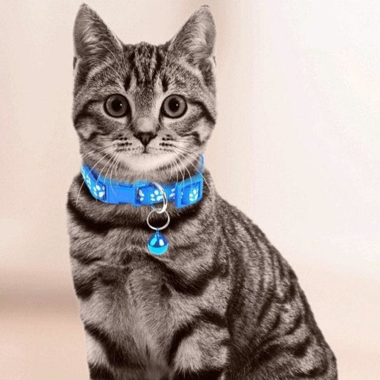 Adjustable Nylon Cat Collar with Bell – Lightweight & Colorful-Cat Collar-1-Colydia