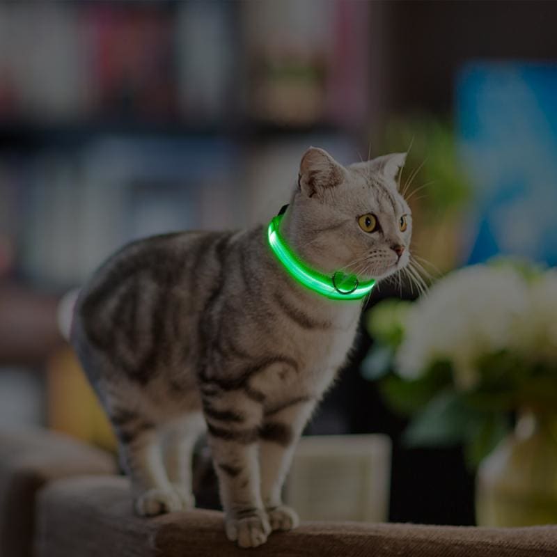 USB Rechargeable LED Anti-Loss Collar for Cats - Adjustable and Safe-LED Safety Collar for Pets-2-Colydia