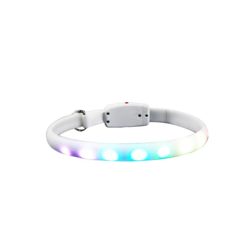 USB Rechargeable LED Anti-Loss Collar for Cats - Adjustable and Safe-LED Safety Collar for Pets-7-Colydia