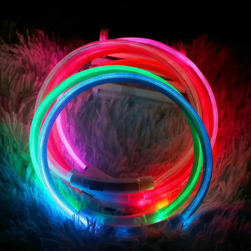 LED Luminous Cat Collar: Waterproof, USB Recharge, 8-Hour Battery-LED Pet Collar-4-Colydia