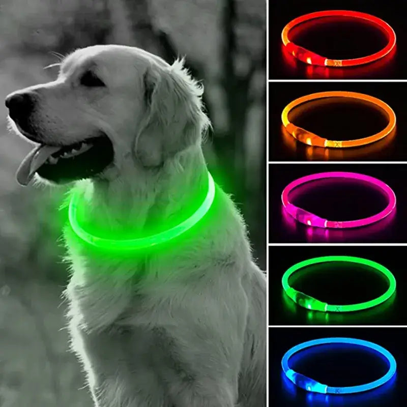 LED Luminous Cat Collar: Waterproof, USB Recharge, 8-Hour Battery-LED Pet Collar-3-Colydia