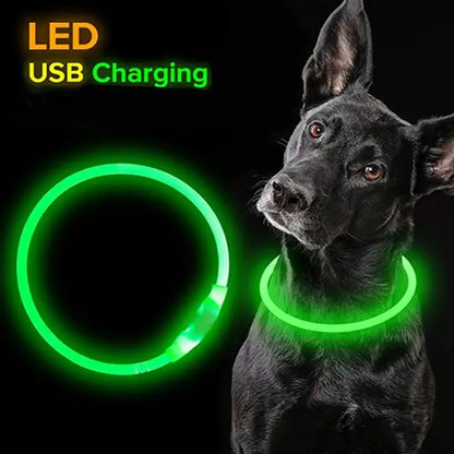 LED Luminous Cat Collar: Waterproof, USB Recharge, 8-Hour Battery-LED Pet Collar-2-Colydia