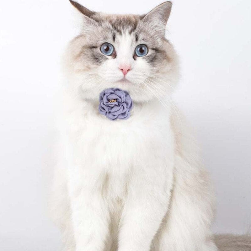 Elegant Rose Petal Design Cat Collar | Stylish & Chic Feline Accessory-Cat Collar-2-Colydia