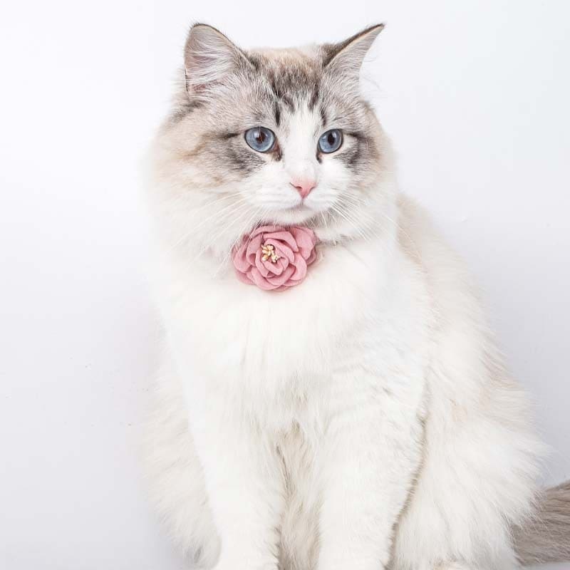 Elegant Rose Petal Design Cat Collar | Stylish & Chic Feline Accessory-Cat Collar-3-Colydia