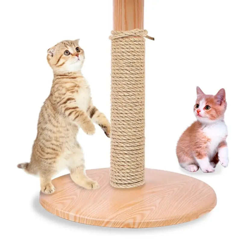 Durable Natural Sisal Cat Scratching Rope 10m - Protect Furniture-Cat Scratching Rope-2-Colydia