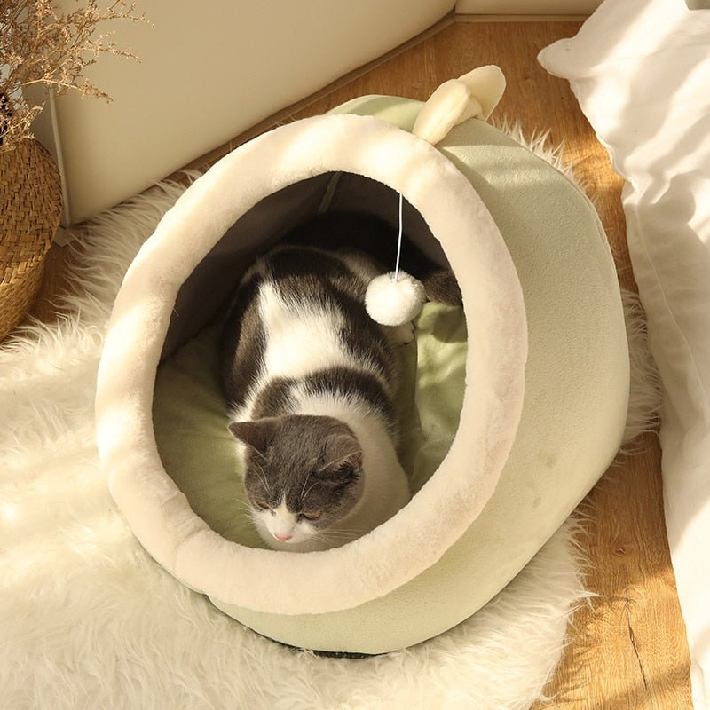 Cozy Cat Themed Beds-Cat Bed-Green Dragon-S (31X30X28cm)-5-Colydia