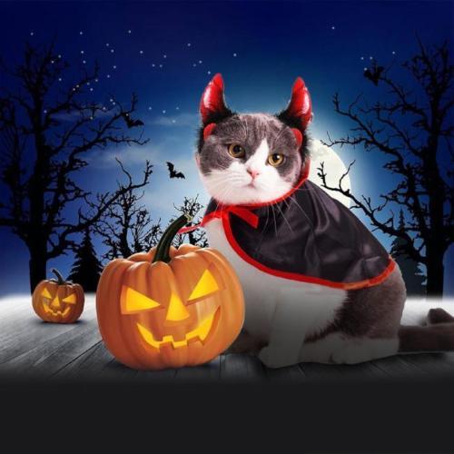 Pet Devil Costume Set: Cute Halloween Outfit with Horns for Pets-Pet Costume-1-Colydia