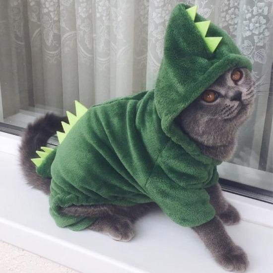 Whimsical Pet Dinosaur Costume Jumpsuit for Memorable Halloween Photos-Pet Costume-2-Colydia