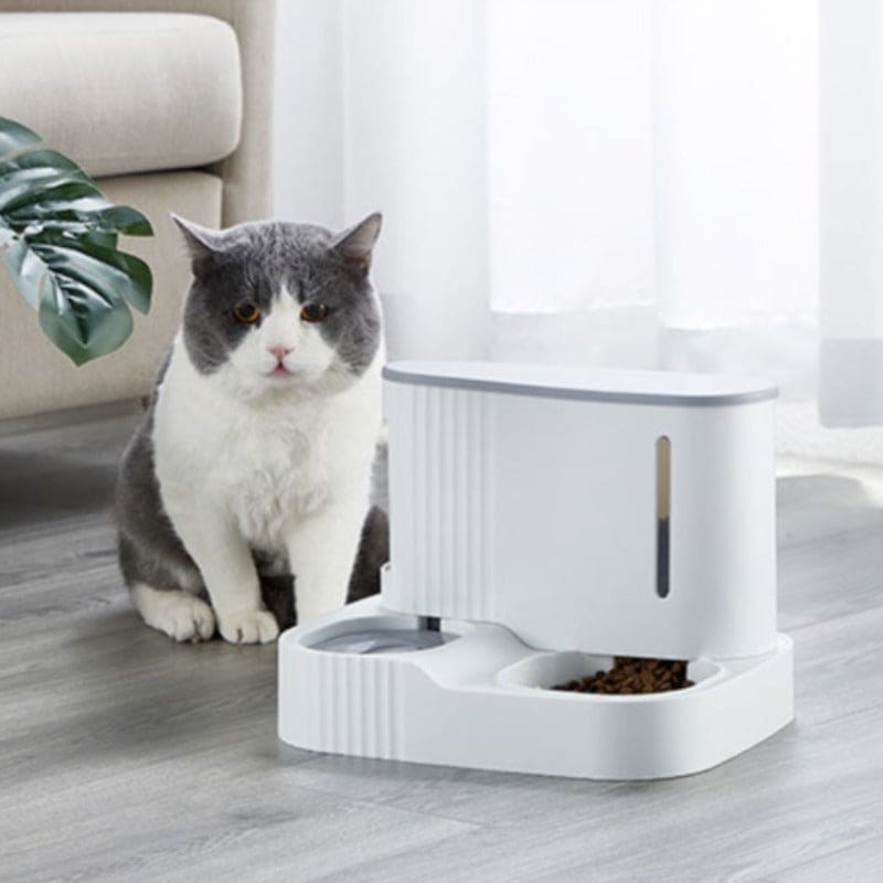 Large Capacity Cat Feeder & Water Dispenser for Summer Hydration-Automatic Pet Feeder & Water Dispenser-3-Colydia