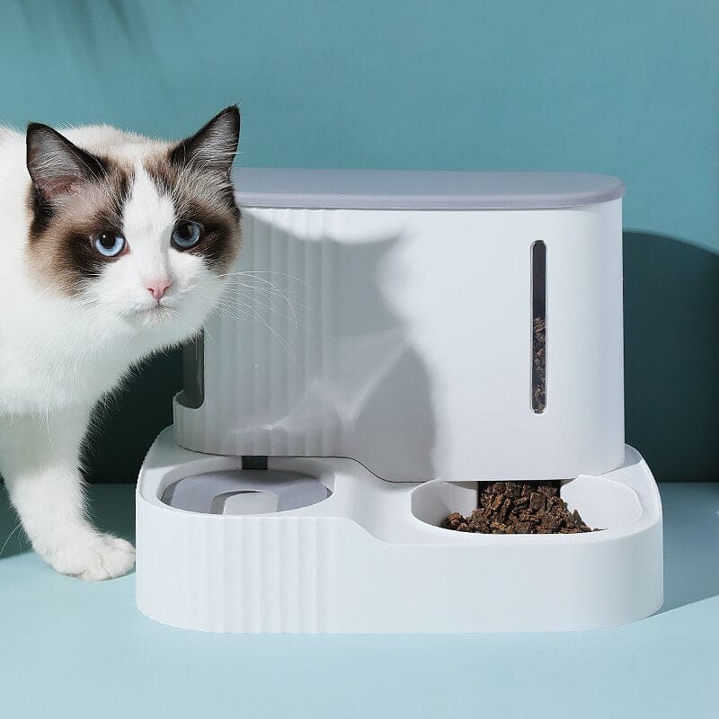 Large Capacity Cat Feeder & Water Dispenser for Summer Hydration-Automatic Pet Feeder & Water Dispenser-1-Colydia