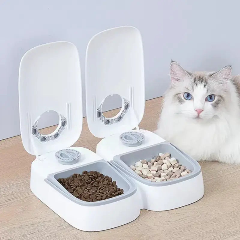 Automatic Cat Feeder with Programmable Meal Timer, Keeps Food Fresh-Automatic Cat Feeder-1-Colydia