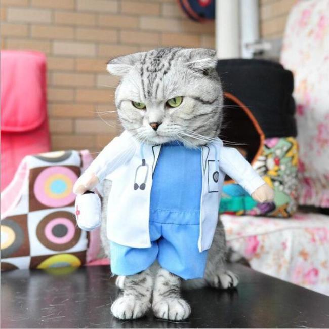 Pet Doctor Costume for Cats & Dogs - Adorable Vet Outfit with Comfort-Pet Costume-1-Colydia