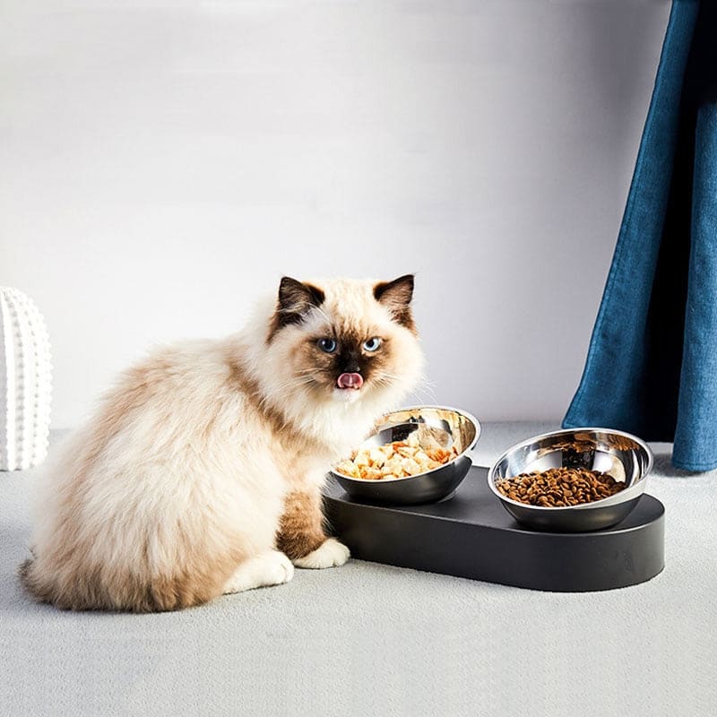 Ergonomic Double Cat Bowls with Adjustable Tilt & Non-Slip Stand-Cat Feeding Bowls-1-Colydia