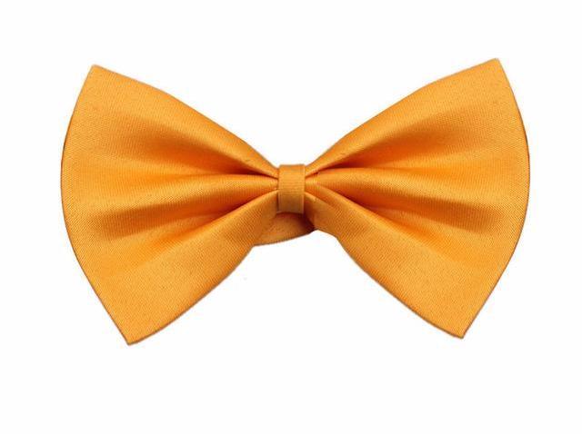 Adjustable Dog & Cat Bowtie - Stylish, Comfortable Pet Accessory-Pet Accessory-Orange-2-Colydia