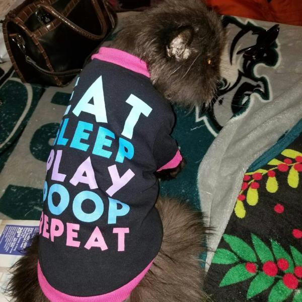 Funny Pet T-Shirt for Cats & Dogs: Eat Sleep Play Poop Repeat Tee-Pet Apparel-4-Colydia