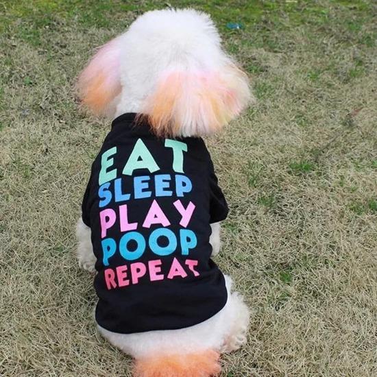 Funny Pet T-Shirt for Cats & Dogs: Eat Sleep Play Poop Repeat Tee-Pet Apparel-2-Colydia