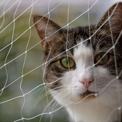 Cat Balcony Safety Net: Transparent, Durable, Easy-to-Install Mesh-Pet Safety Net-1-Colydia