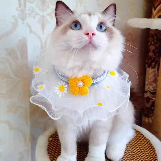 Organza Floral Collar for Cats & Small Dogs - Sizes XS to L-Pet Accessory-1-Colydia