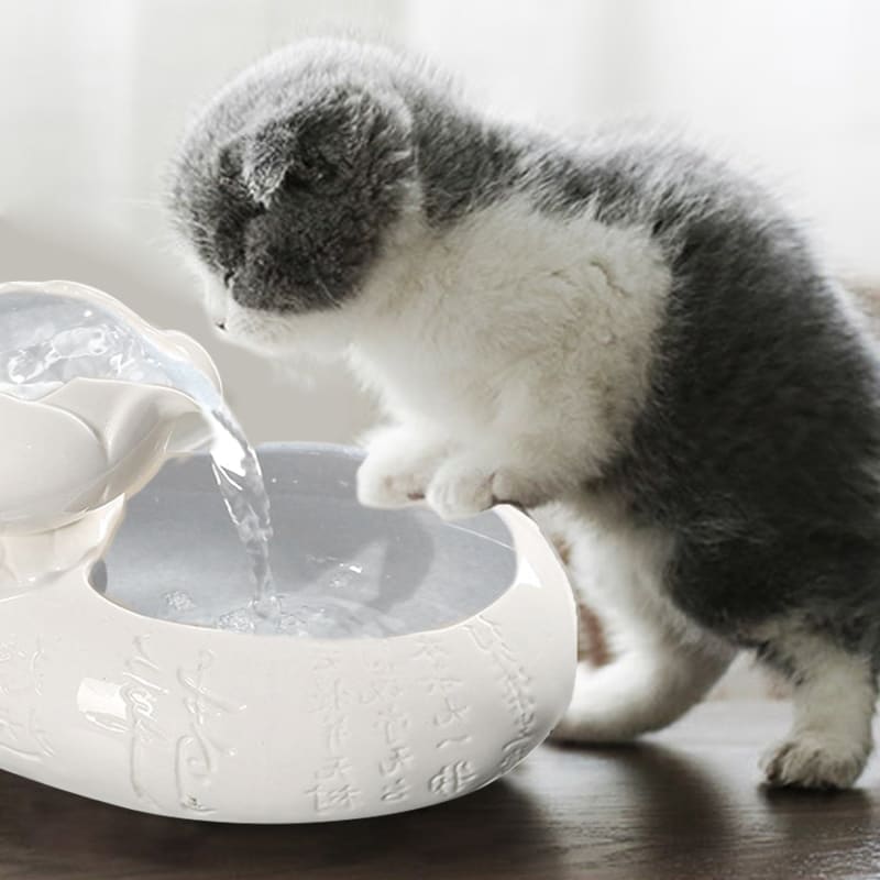 Automatic Ceramic Cat Water Fountain with Filtration System-Automatic Cat Water Fountain-2-Colydia