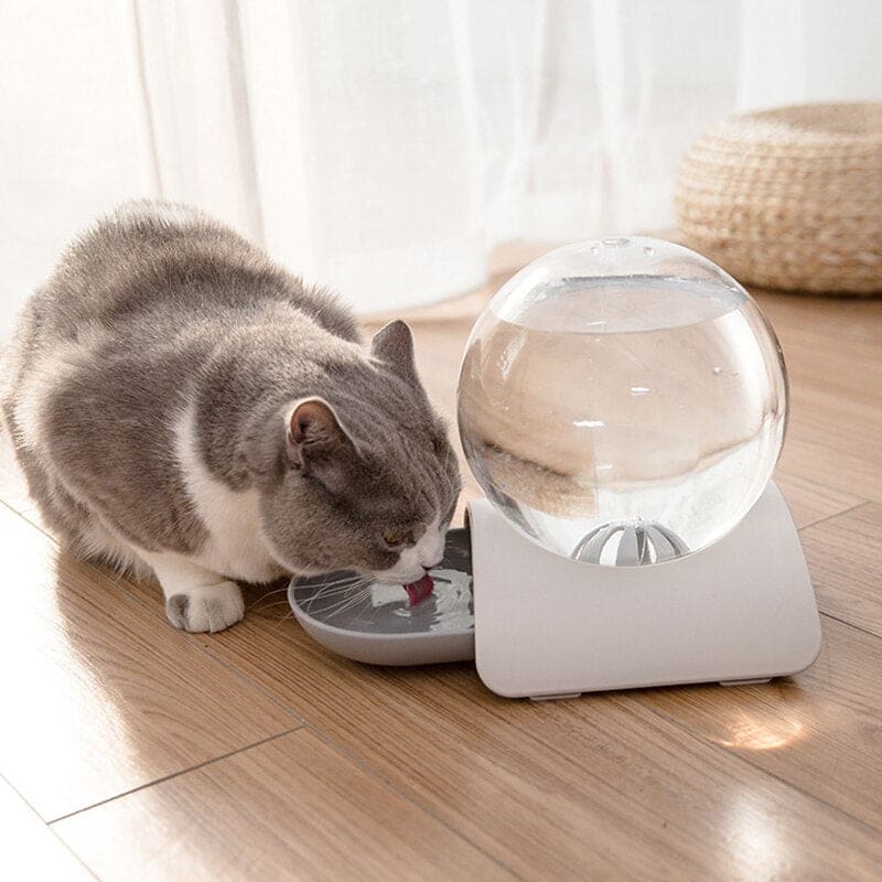 Stylish 2.8L Cat Water Fountain with Quiet Filtration System-Cat Water Fountain-1-Colydia