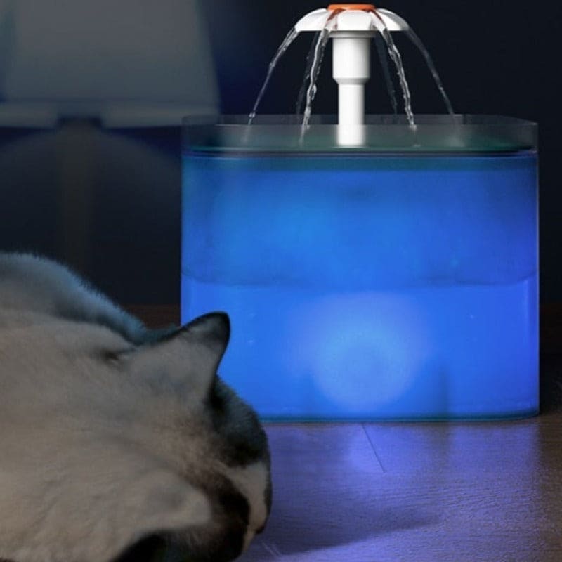 Daisy Cat Water Fountain With Filter for Hydration and Health-Cat Water Fountain-4-Colydia