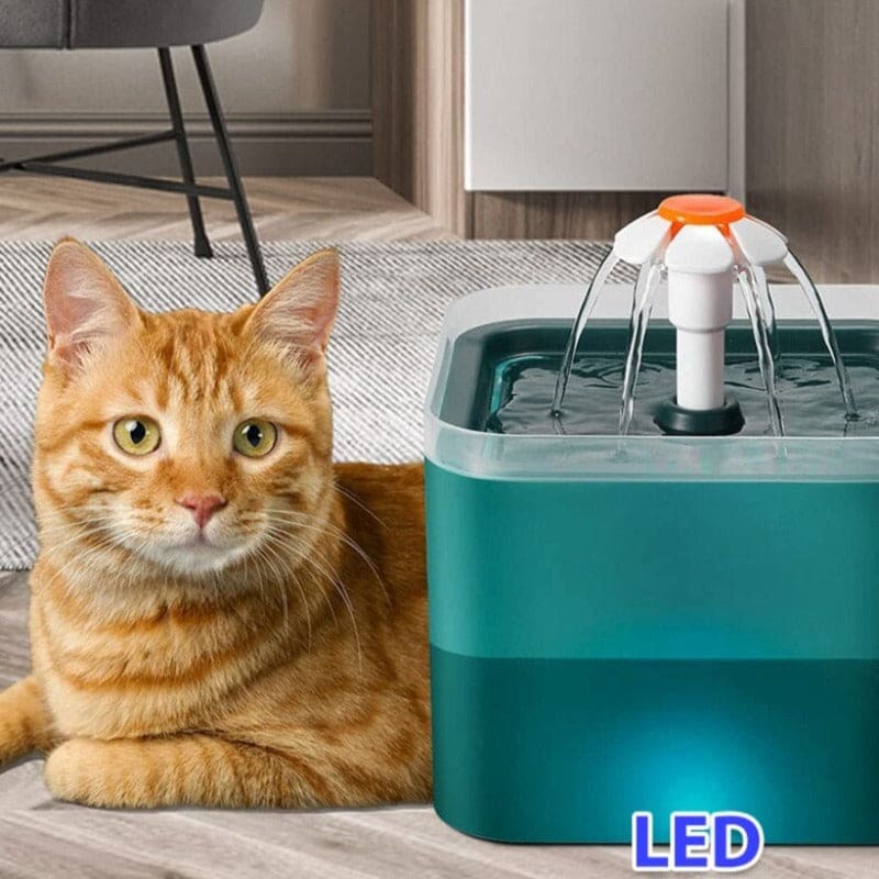 Daisy Cat Water Fountain With Filter for Hydration and Health-Cat Water Fountain-3-Colydia