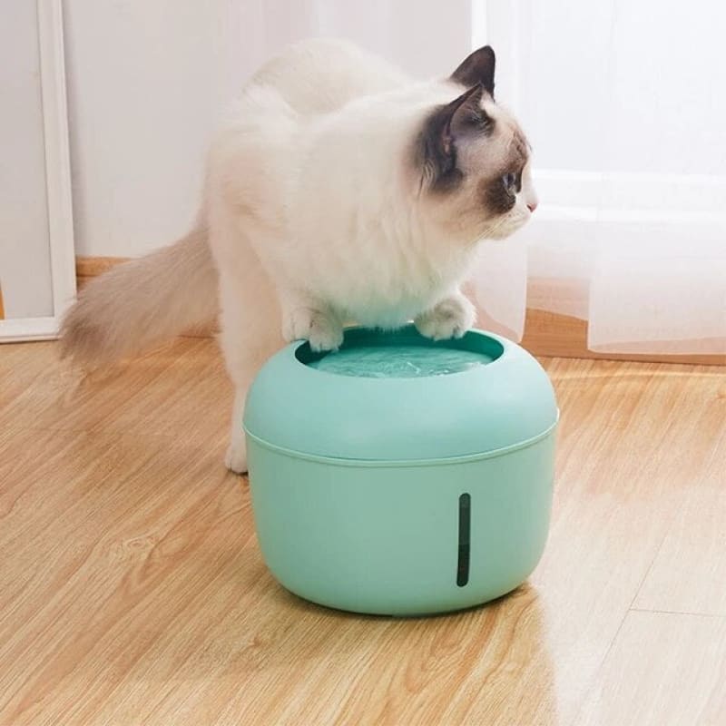 Quiet Cat Water Fountain 2.5L with USB Power & Filtration System-Pet Water Fountain-2-Colydia