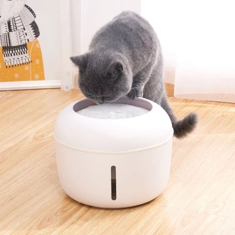 Quiet Cat Water Fountain 2.5L with USB Power & Filtration System-Pet Water Fountain-5-Colydia