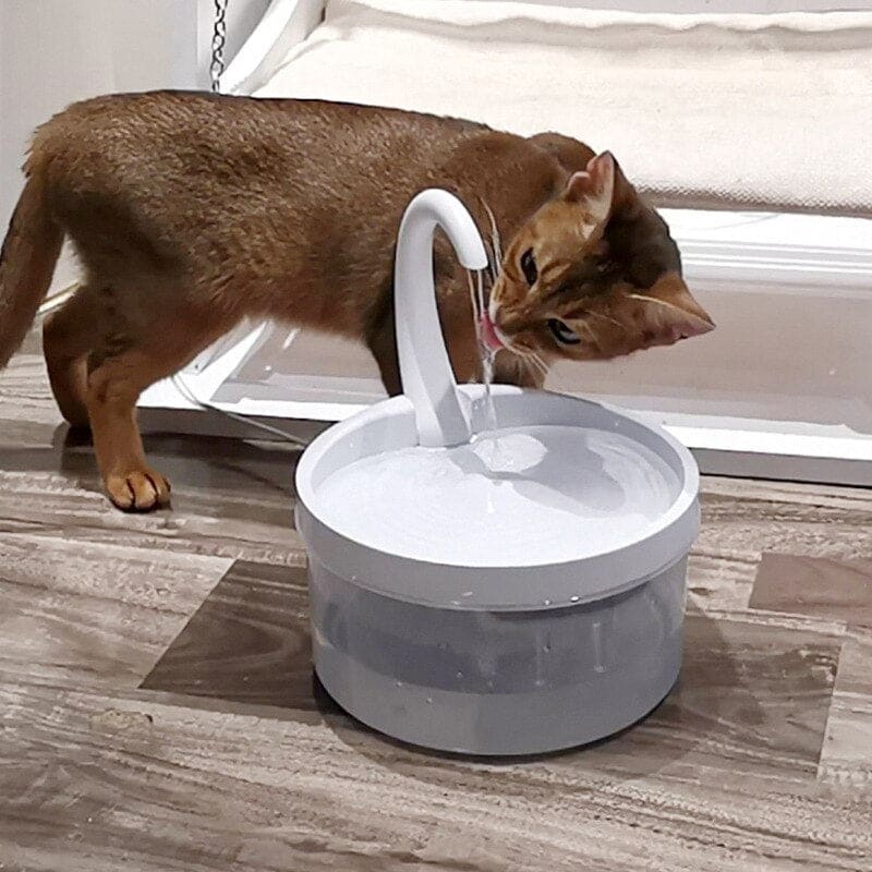 Silent 2L Cat Water Fountain with LED Light & Tap Flow Spout-Cat Water Fountain-5-Colydia