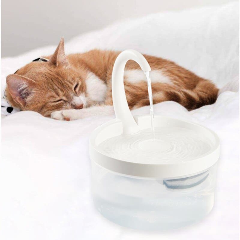 Silent 2L Cat Water Fountain with LED Light & Tap Flow Spout-Cat Water Fountain-2-Colydia