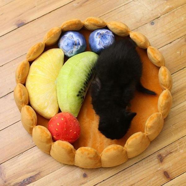 Colorful Fruit Tart Pet Bed with Detachable Pillow Toys-Pet Bed-5-Colydia