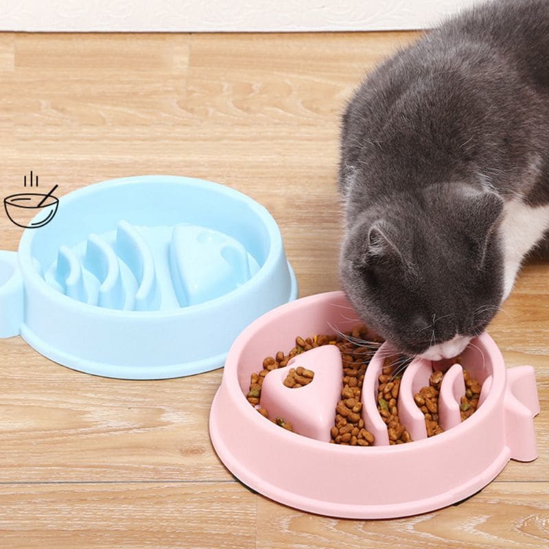 Cat Maze Slow Feeder Bowl – Promotes Fun & Healthy Eating-Cat Slow Feeder Bowl-3-Colydia