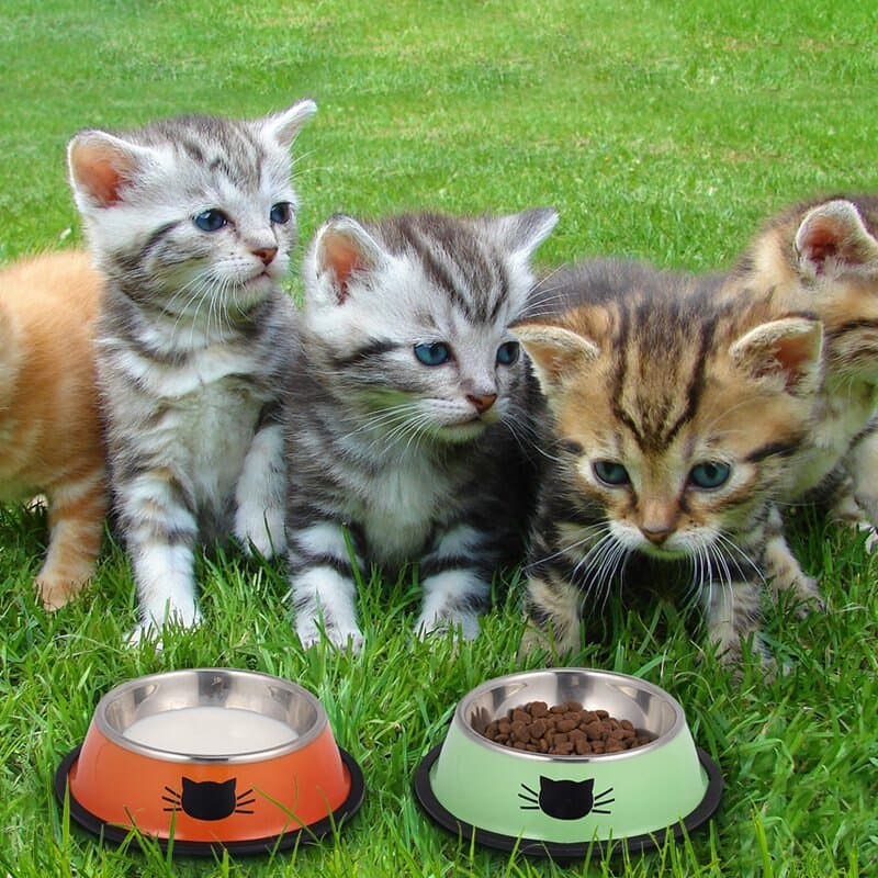 Colorful Stainless Steel Cat Bowl with Cute Whiskers Design-Cat Bowl-2-Colydia