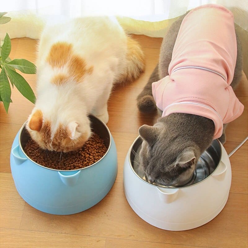 15° Tilt Cat Bowl in Stainless Steel for Comfortable Feeding-Pet Feeding Bowl-3-Colydia