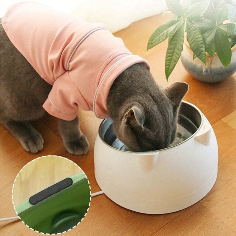 15° Tilt Cat Bowl in Stainless Steel for Comfortable Feeding-Pet Feeding Bowl-2-Colydia