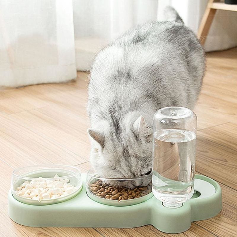 Adjustable Tilt Cat Bowls with Water Dispenser for Ergonomic Feeding-Ergonomic Cat Feeding Set-2-Colydia