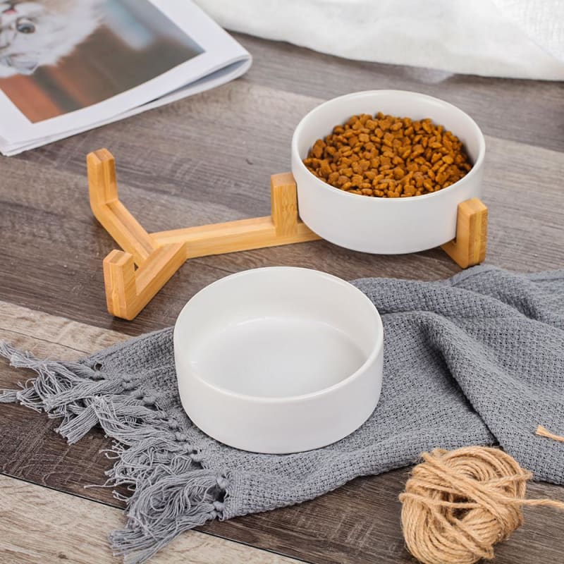 Handmade Ceramic Cat Bowl - Elegant, Durable, Easy to Clean, 800ml-Ceramic Cat Bowl-4-Colydia