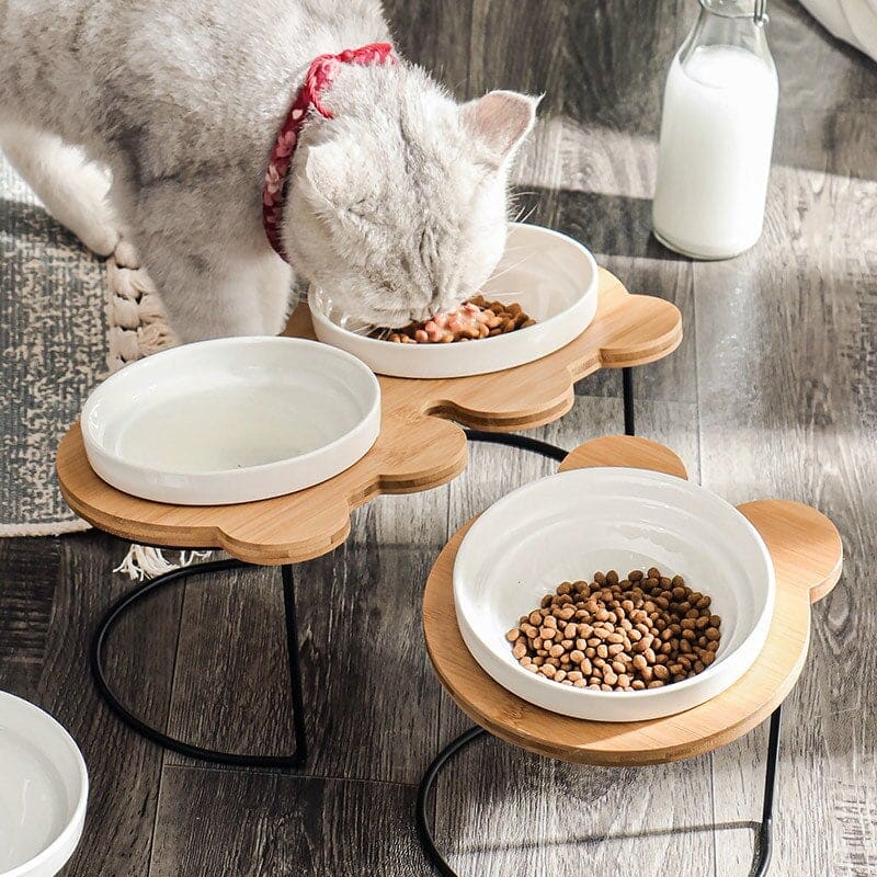 Elevated Double Bowl Cat Feeder Wood Metal Ceramic Bowls-Elevated Cat Feeder-2-Colydia