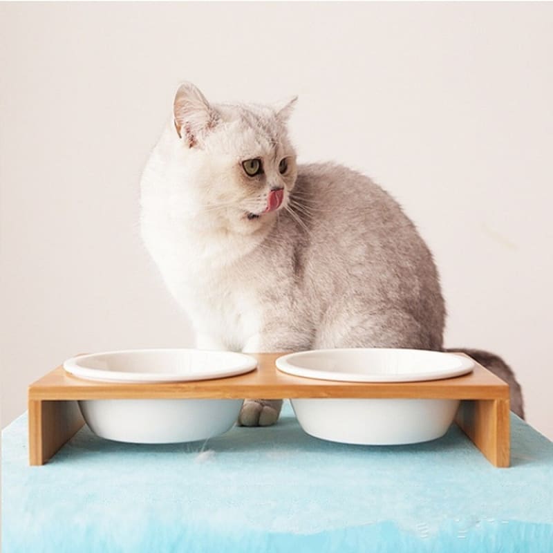 Ceramic Triple Bowl Pet Feeder with Non-Slip Bamboo Stand-Triple Bowl Pet Feeder-5-Colydia