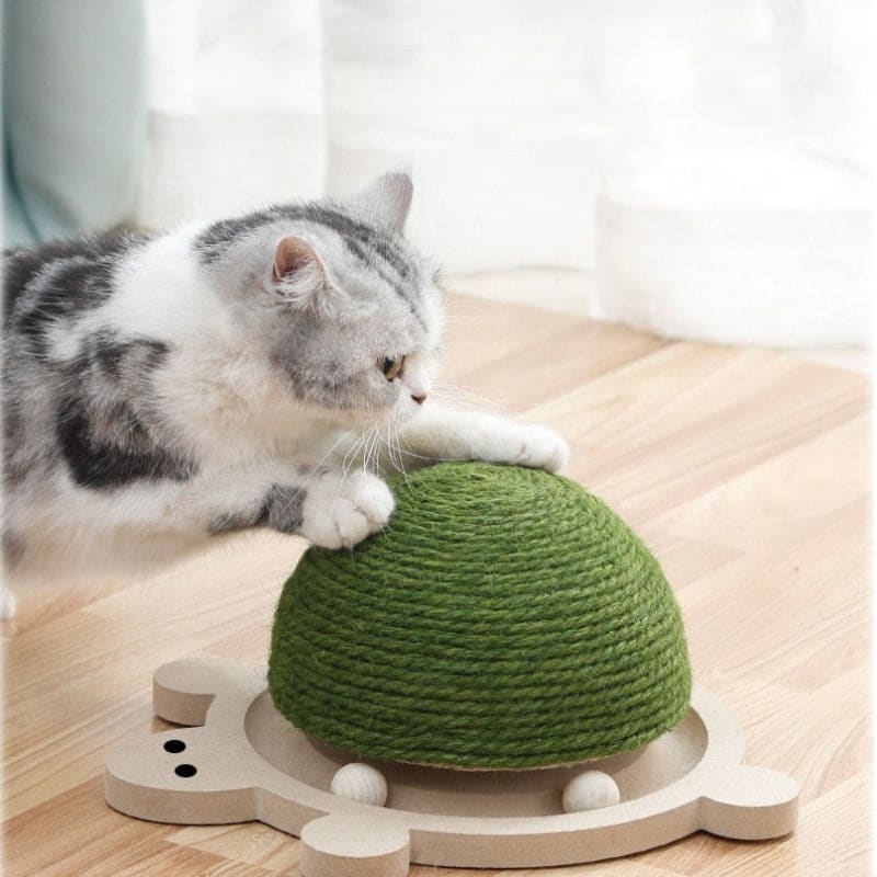 Interactive Turtle-Shaped Sisal Scratching Post with Wooden Ball-Cat Scratching Post-3-Colydia