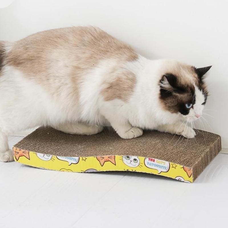 Durable Compact Cat Scratcher with Corrugated Cardboard Surface-Cat Scratcher-1-1-Colydia