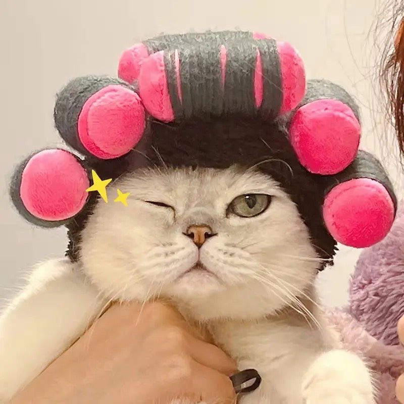 Fashionable Pet Hair Roller Wig for Cats & Small Dogs-Pet Costume Accessory-1-Colydia