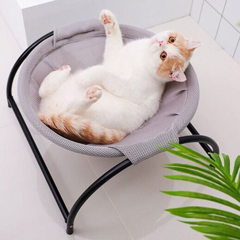 Breathable Summer Cat Hammock with Sturdy Iron Legs - Moisture Resistant-Cat Hammock-2-Colydia