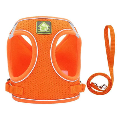 Escape-Proof Cat Harness with Soft Mesh and Secure D-Rings-Cat Harness-Orange-XS-5-Colydia