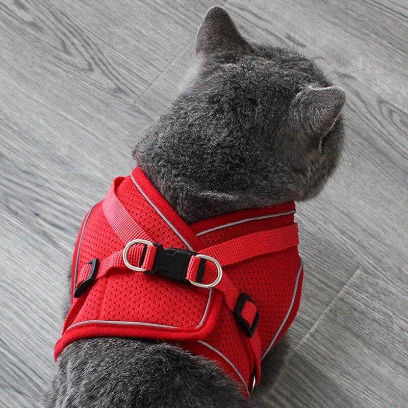 Escape-Proof Cat Harness with Soft Mesh and Secure D-Rings-Cat Harness-7-Colydia