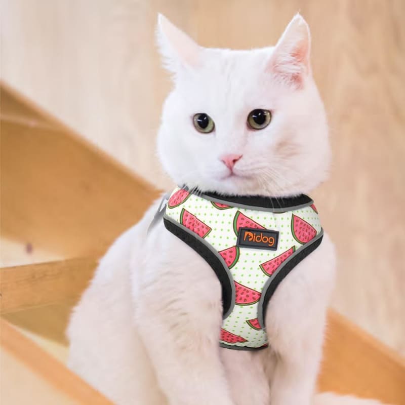 Adjustable Breathable Cat Harness Set - Lightweight & Stylish Design-Cat Harness Set-7-Colydia