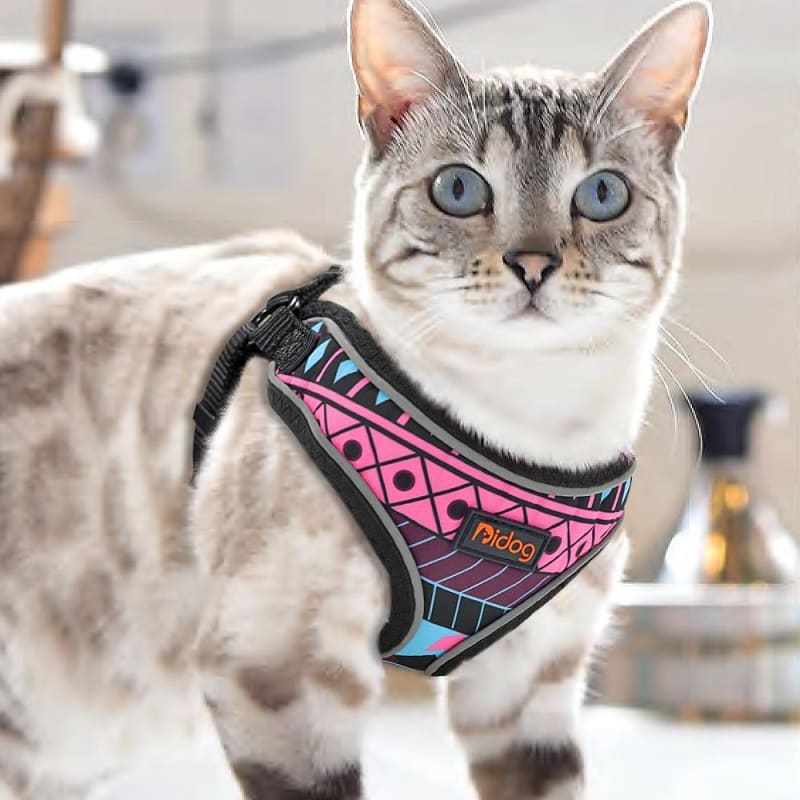 Adjustable Breathable Cat Harness Set - Lightweight & Stylish Design-Cat Harness Set-8-Colydia