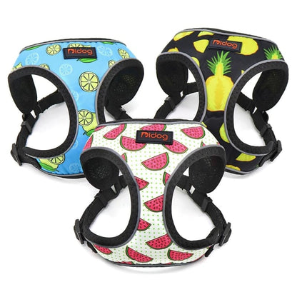 Adjustable Breathable Cat Harness Set - Lightweight & Stylish Design-Cat Harness Set-1-Colydia