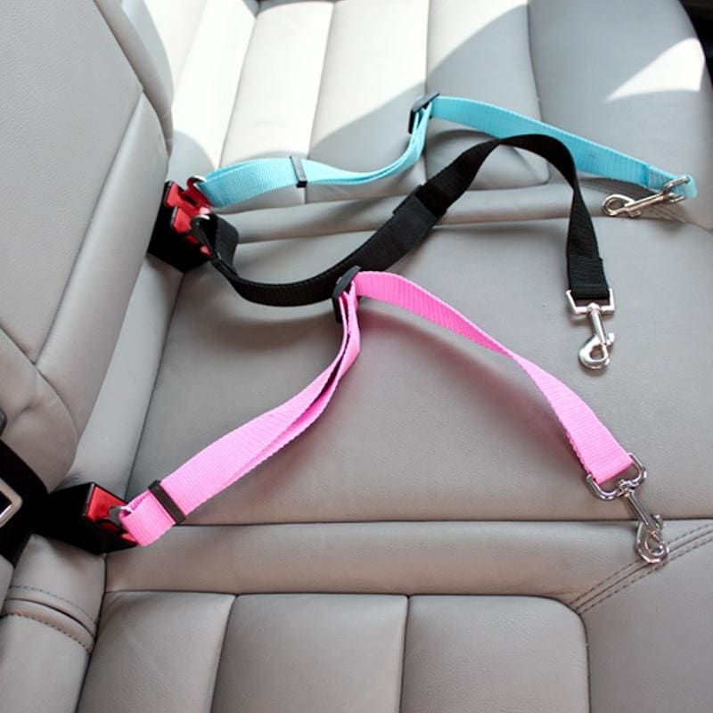 Secure Your Cat with a Comfortable Nylon Car Safety Harness-Cat Safety Harness-1-Colydia